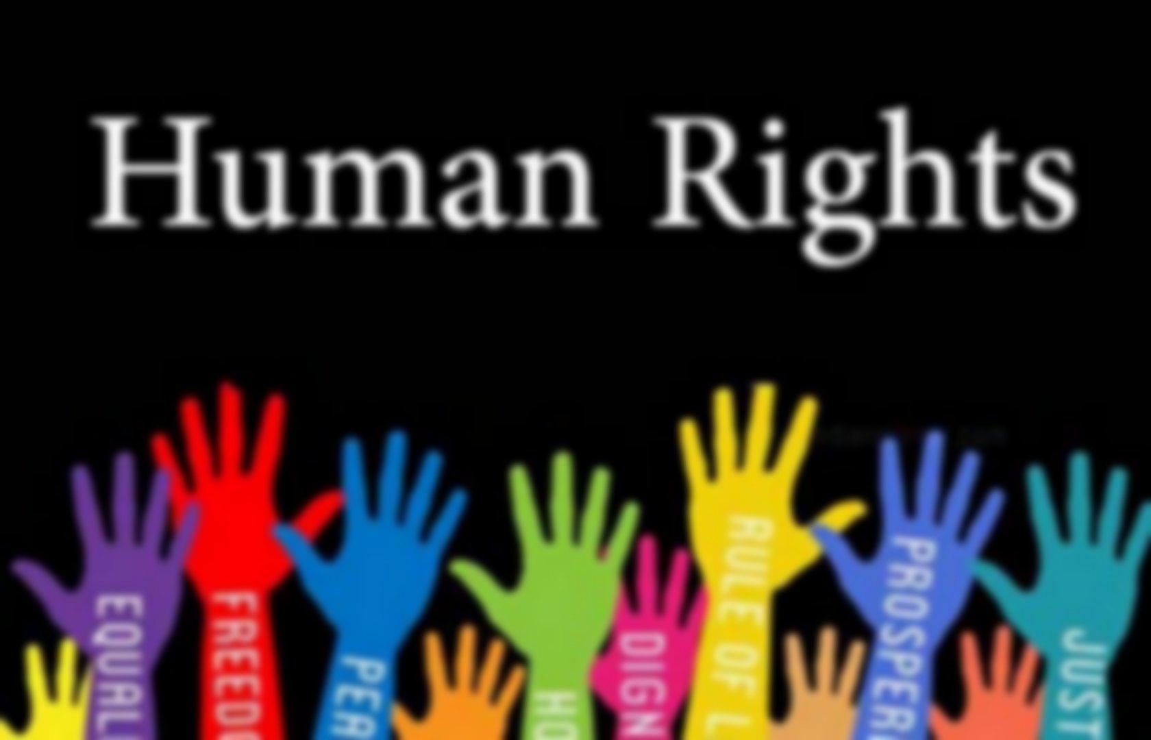 human-rights-organisations-pearltrees