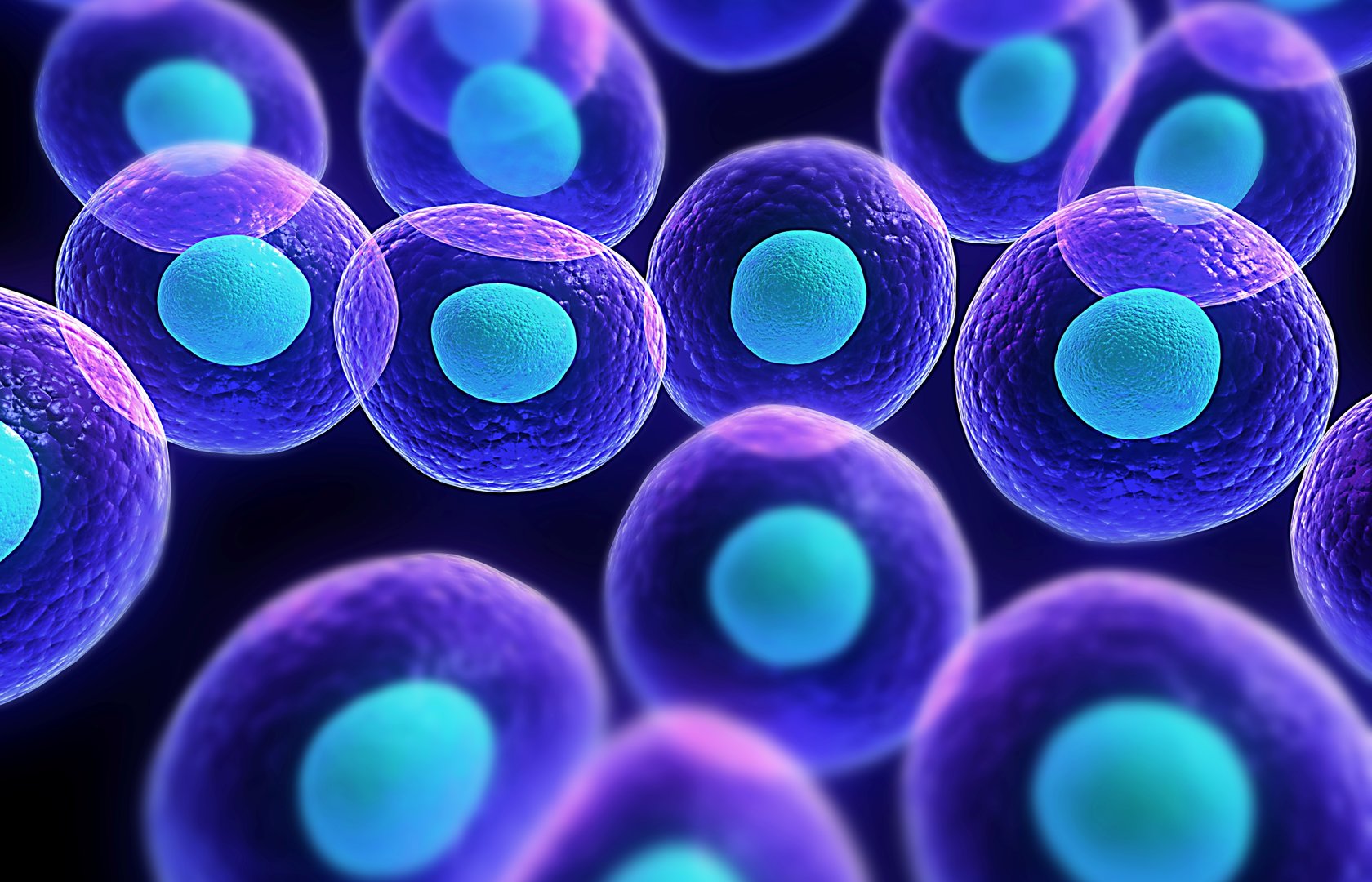 Cell Structure And Function Pearltrees