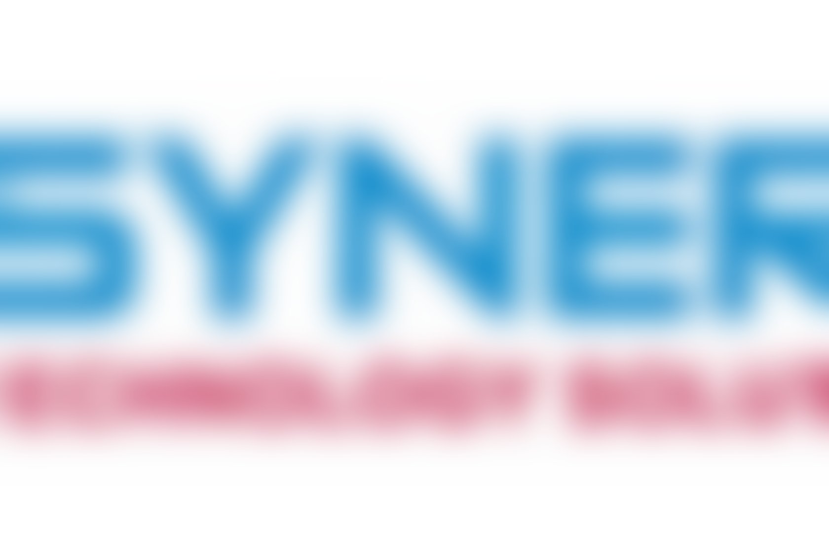 synergy software technologies inc