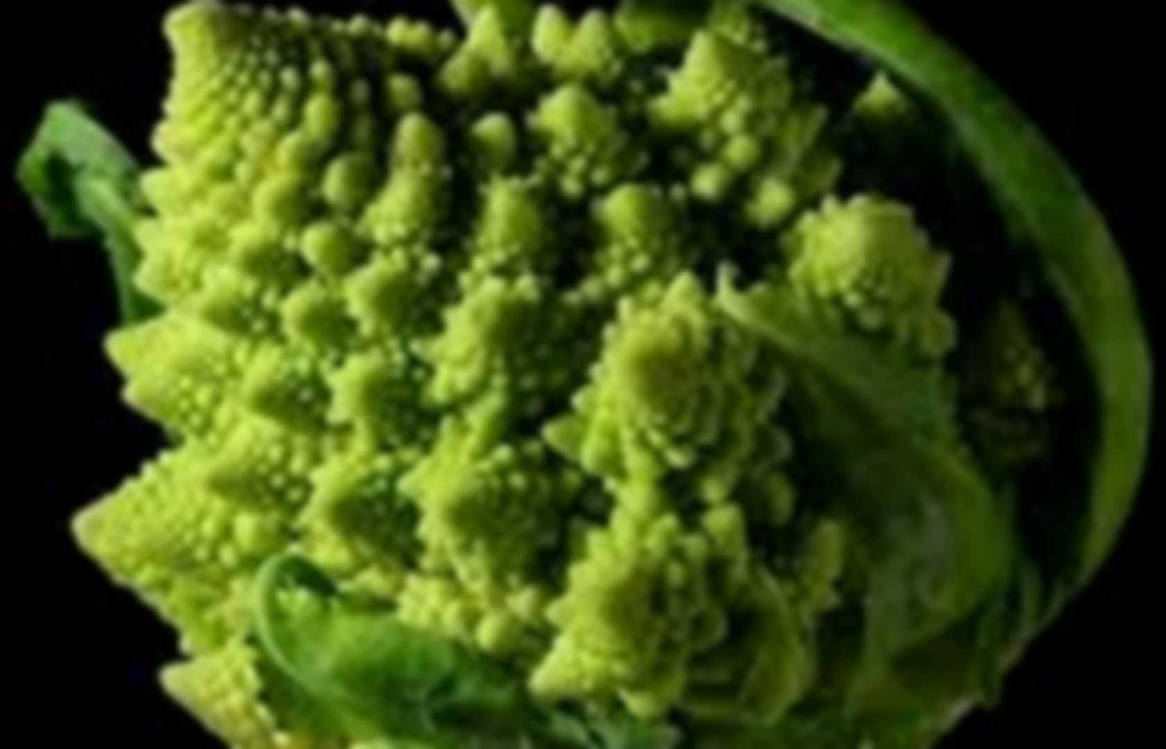 Фрактальная форма кочана капусты сорта романеско (Brassica oleracea)