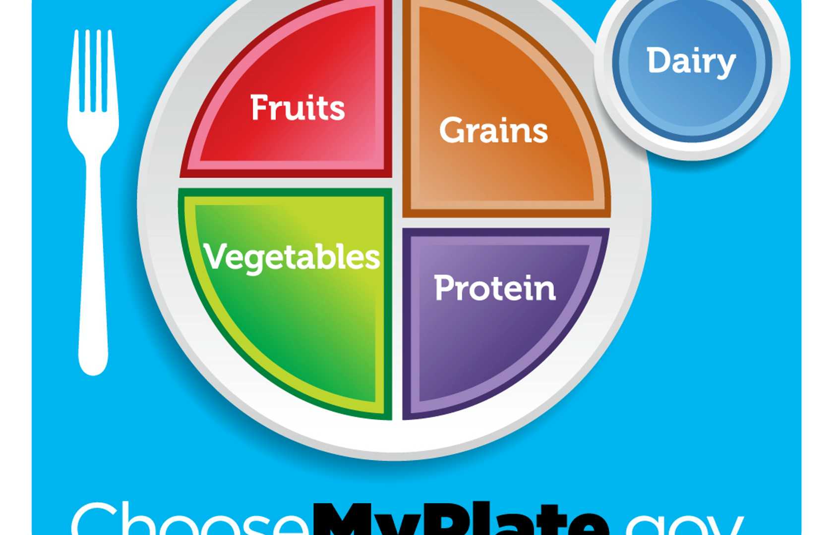 my-plate-food-groups-pearltrees