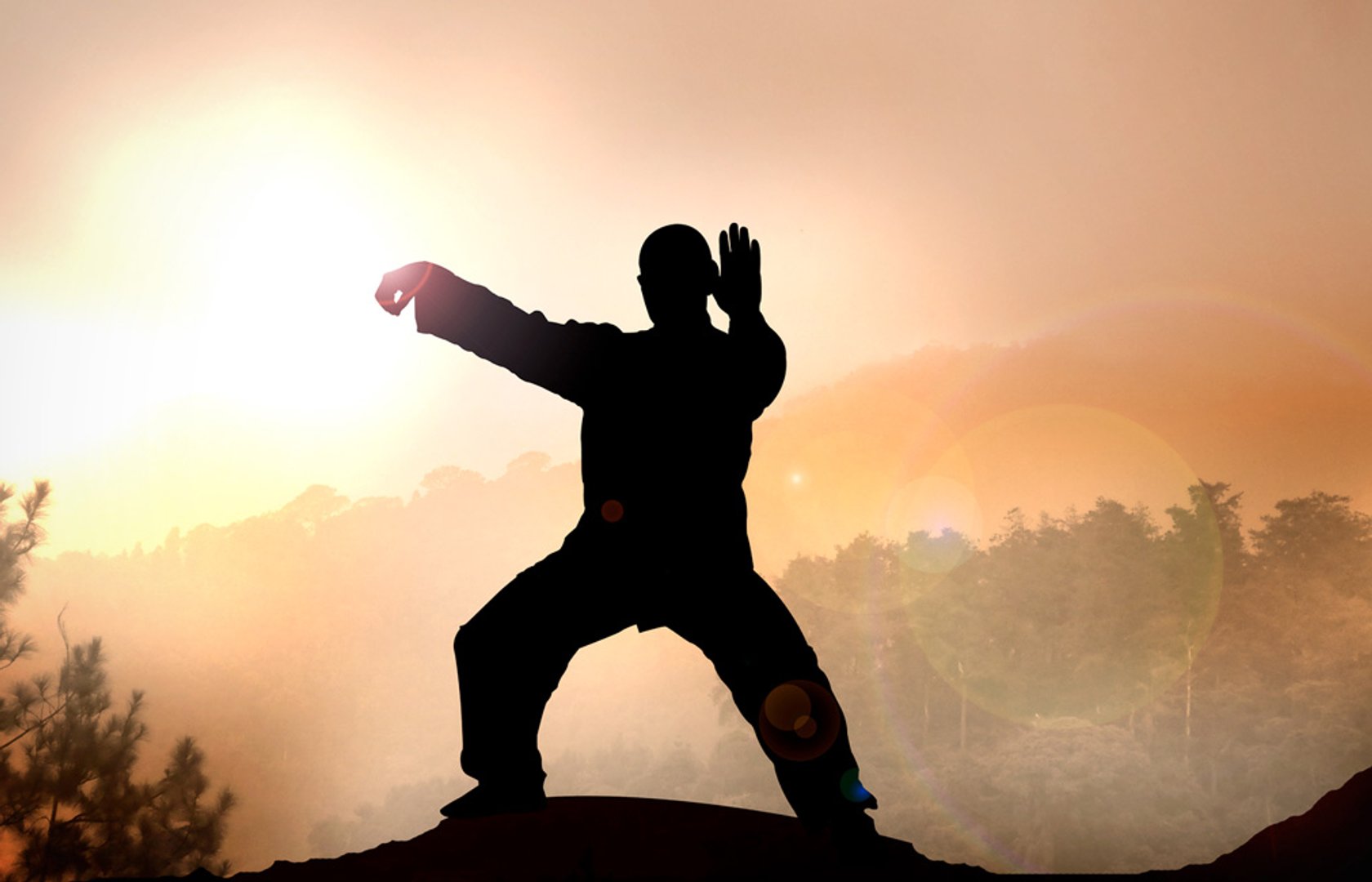 qi-gong-tai-chi-pearltrees