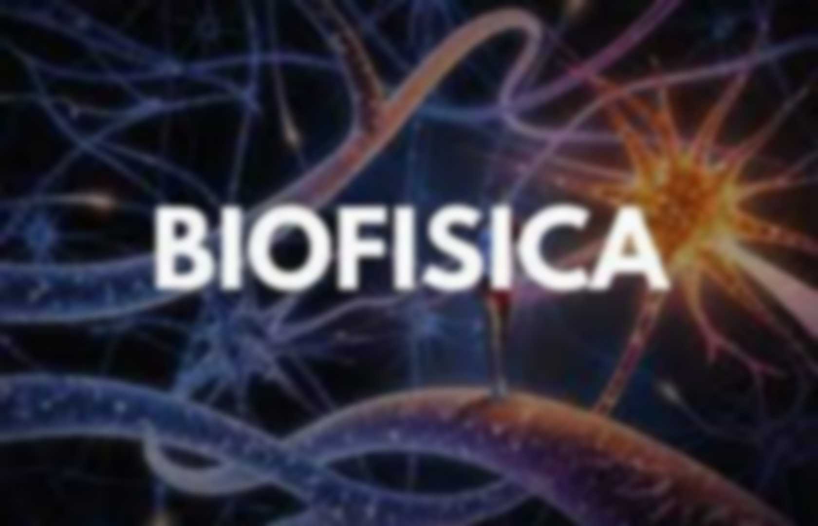 Unidad Ii Biofísica Pearltrees 4985