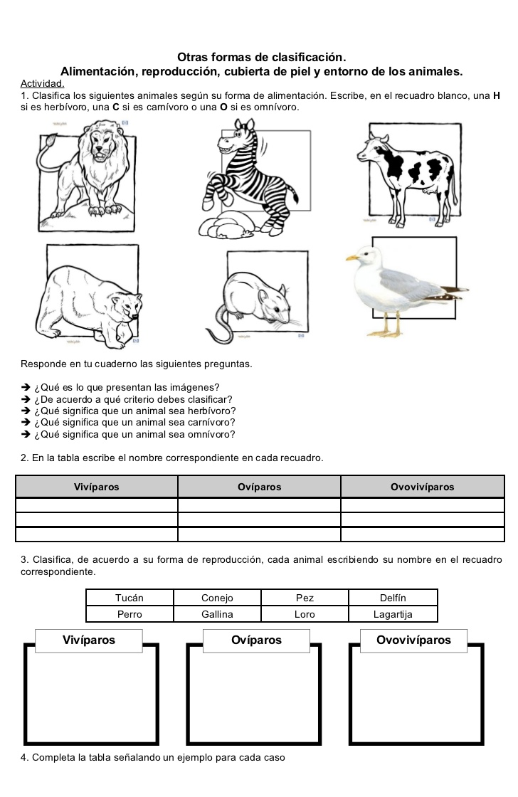 Actividad sobre la clasificación de los animales | Pearltrees