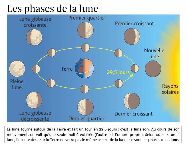 Cours : Les Phases De La Lune | Pearltrees