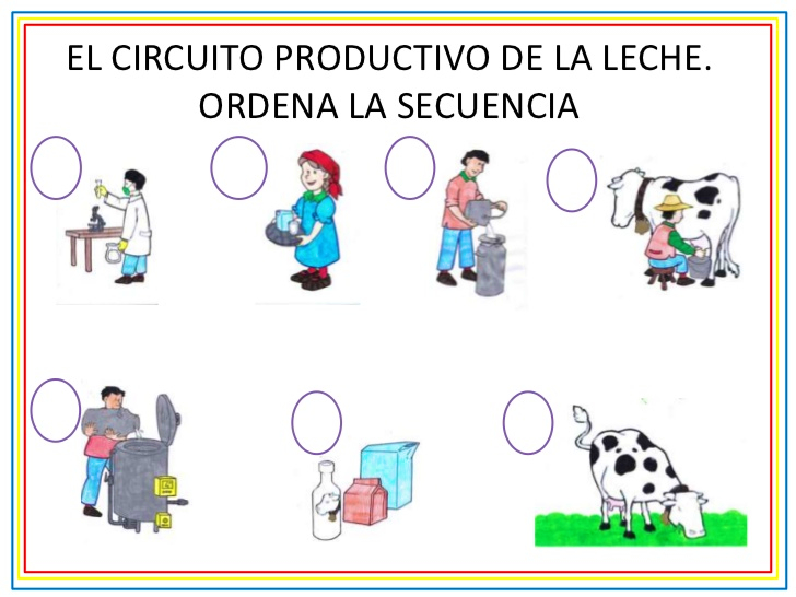 La Leche Y El Circuito Productivo. | Pearltrees