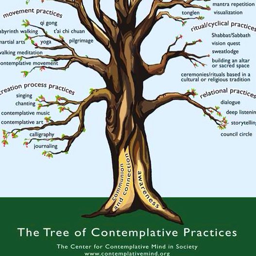 The Tree Of Contemplative Practices | Pearltrees