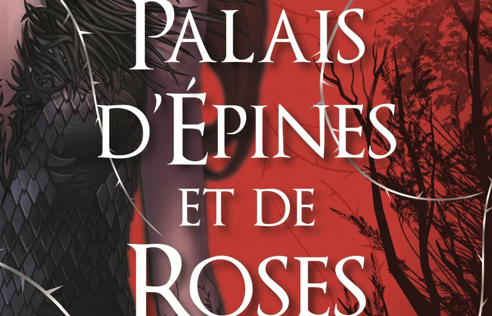 Un Palais d'Epines et de Roses - Sarah J. Maas | Pearltrees