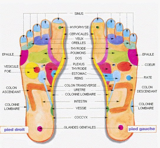 Reflexology (french) | Pearltrees